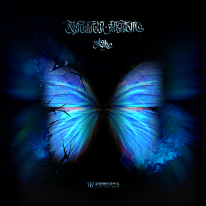 607080老太太老奶奶的收藏特点
