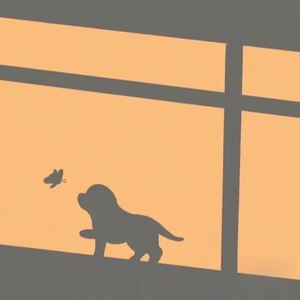 607080老太太老奶奶的收藏特点
