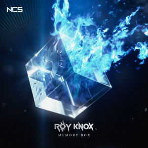 607080老太太老奶奶的收藏特点
