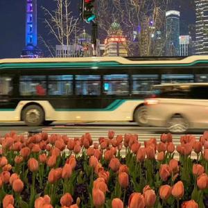 607080老太太老奶奶的收藏特点
