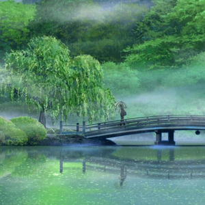 607080老太太老奶奶的收藏特点
